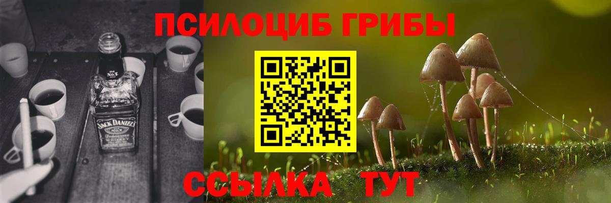 Полевской  Галлюциногенные грибы GOLDEN TEACHER  Вход с VPN  Галлюциногенные грибы MAGIC MUSHROOMS 