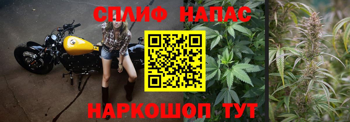 Полевской  Конопля ГИДРОПОН  Вход с VPN  Каннабис ГИДРОПОН 